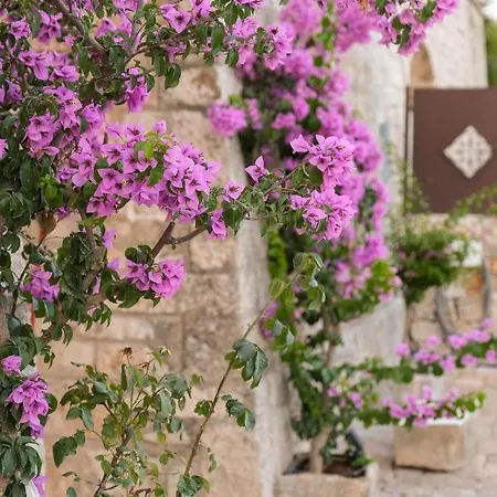 Truloco Nuzzi - Luxury Domus