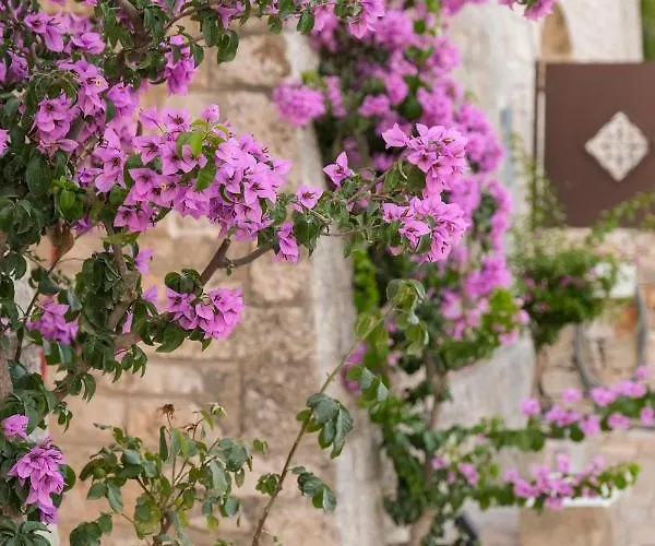 Truloco Nuzzi - Luxury Domus